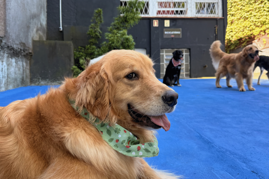 Foto sessão creche site