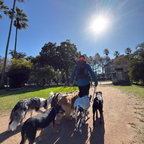 WhatsApp Image 2025-07-29 at 17.36.59