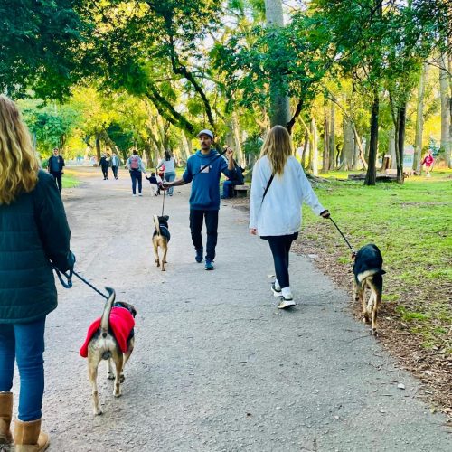 WhatsApp Image 2025-07-29 at 17.37.00