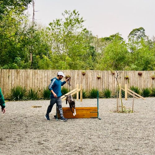 WhatsApp Image 2025-07-29 at 17.37.01 (1)