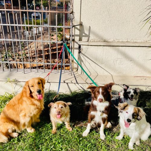 WhatsApp Image 2025-07-29 at 17.37.02 (1)