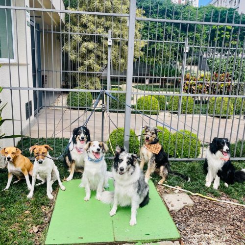 WhatsApp Image 2025-07-29 at 17.37.03 (1)