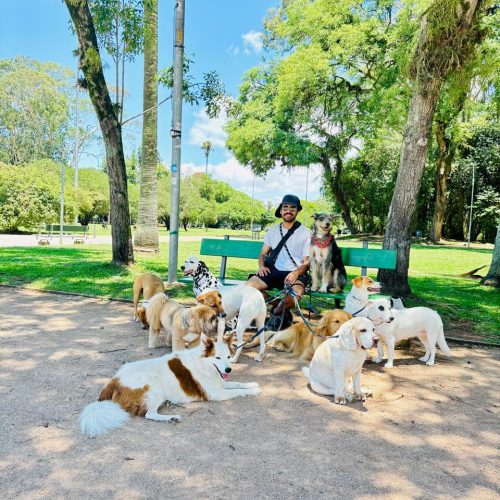 WhatsApp Image 2025-07-29 at 17.37.03