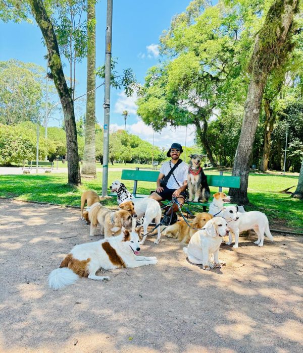 WhatsApp Image 2025-07-29 at 17.37.03